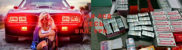PSILOCYBIN Верея