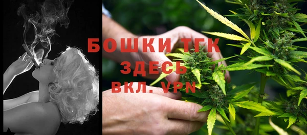 PSILOCYBIN Верея