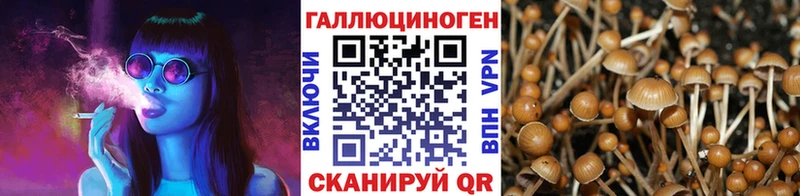 Псилоцибиновые грибы мицелий  Иваново 